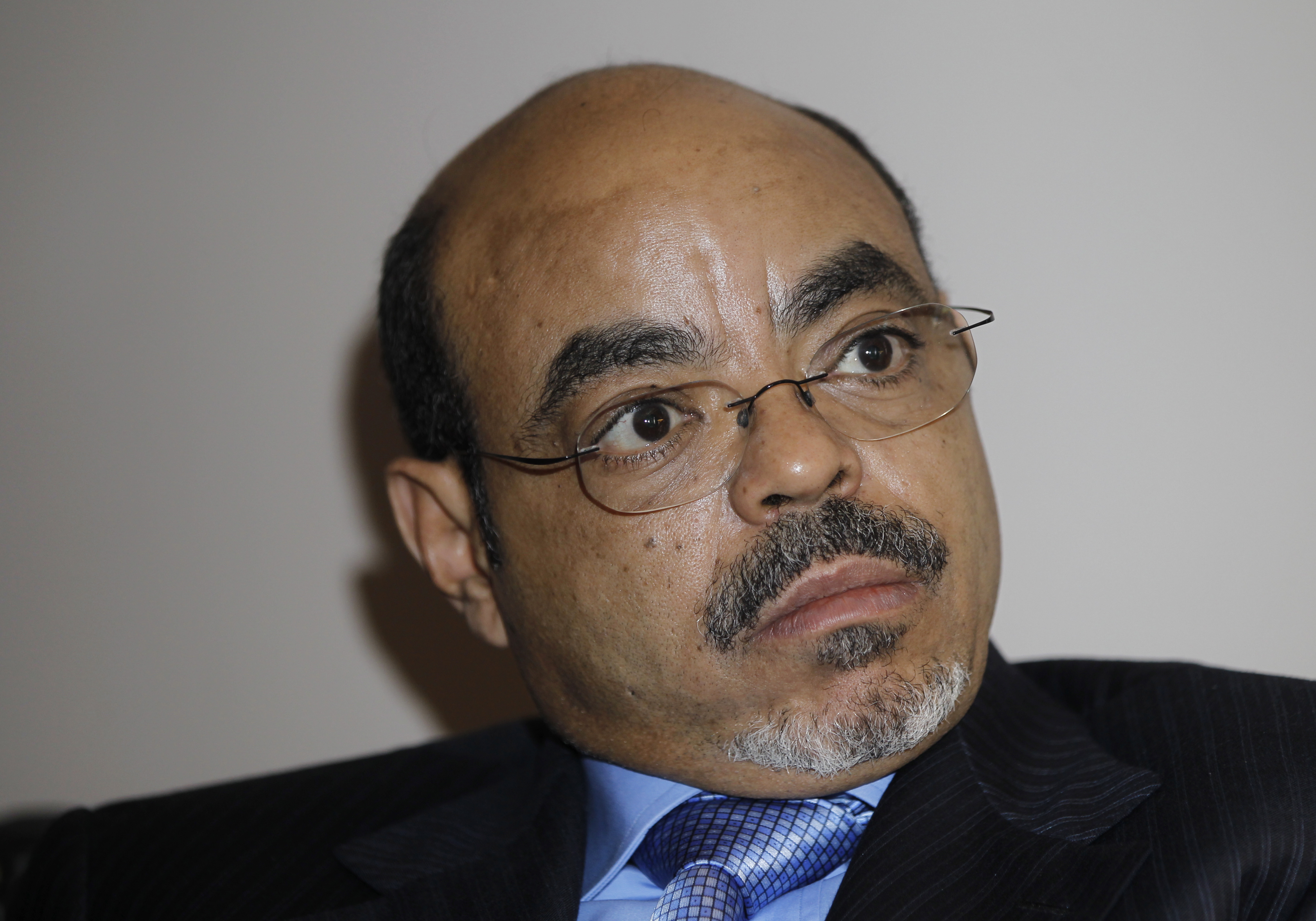 Martin Schibbye, Meles Zenawi, Etiopien, Johan Persson