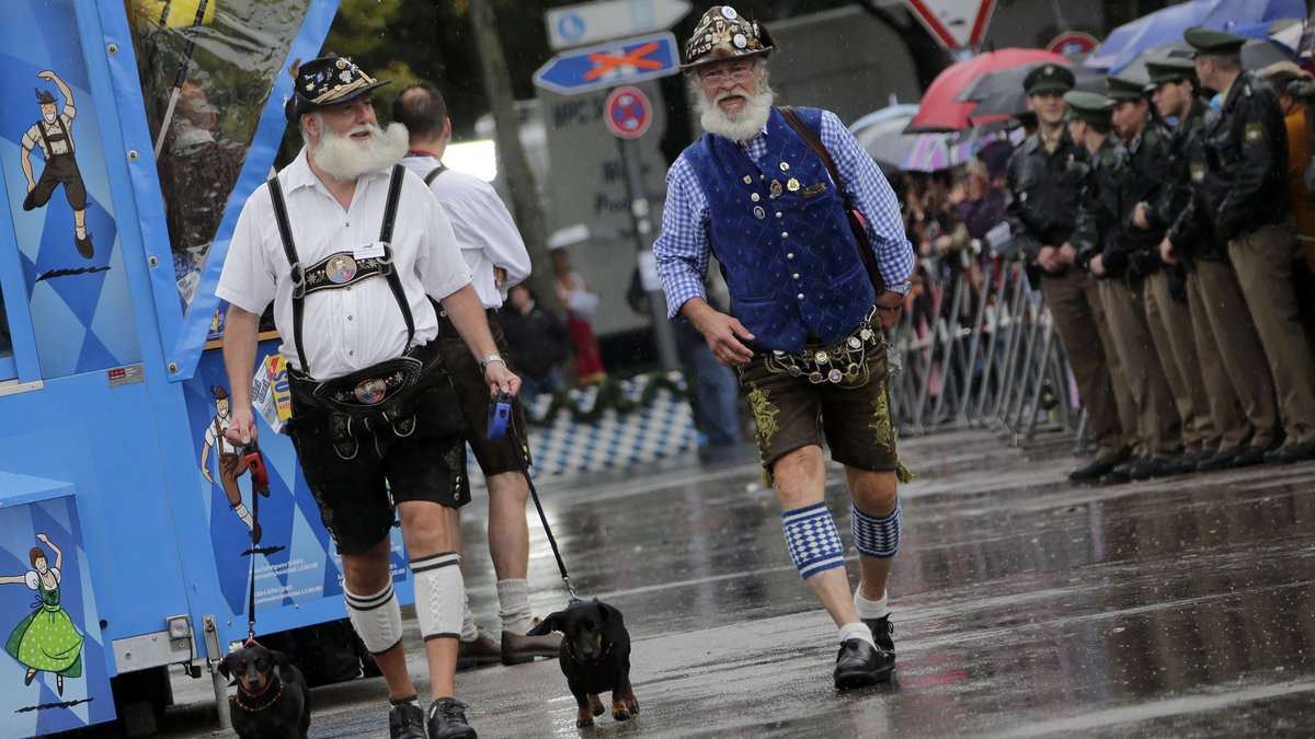 Ölsugna äldre karlar på festival iklädda klassiska Lederhosen.
