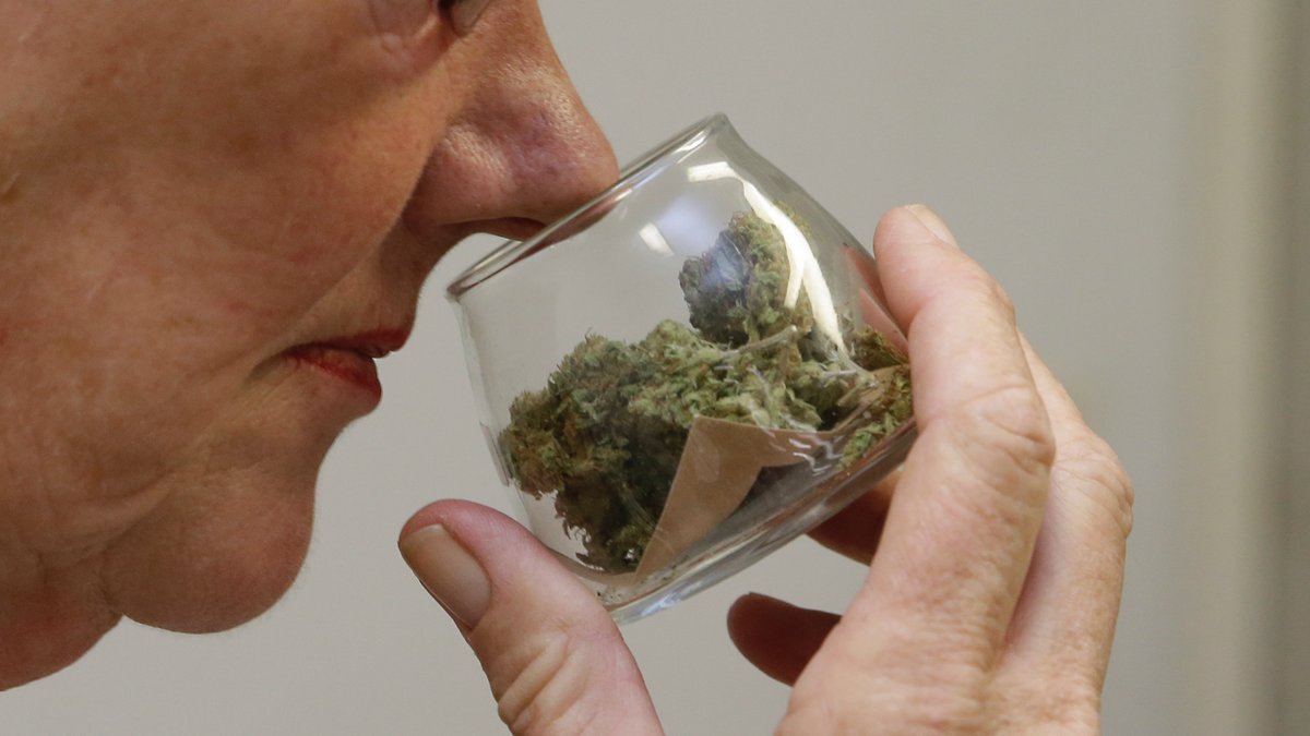Det är lagligt att bruka cannabis i Colorado.