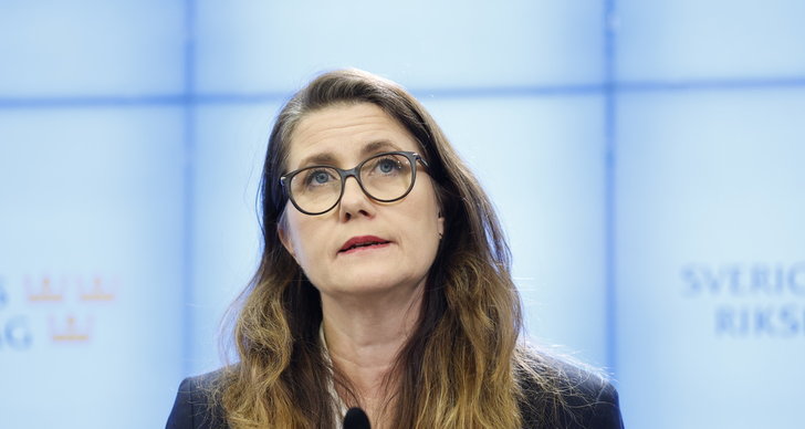 Amanda Lind, Märta Stenevi, Politik, TT