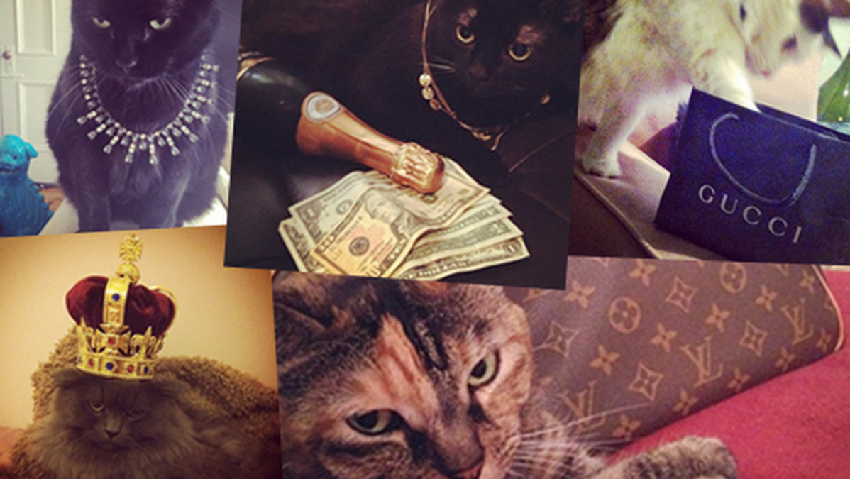 Juveler för miljoner, fickpengar, Champagne, kungakronor och shopping på Gucci – här är Instagrams rikaste katter. 