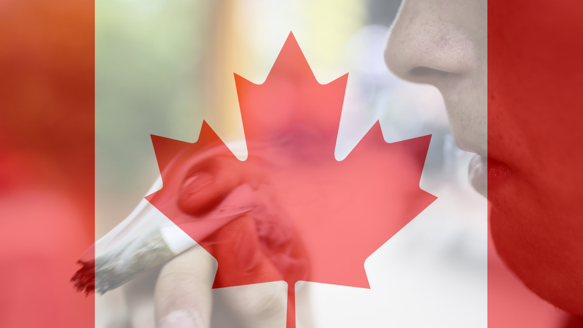 Kanada kommer att legalisera cannabis i höst