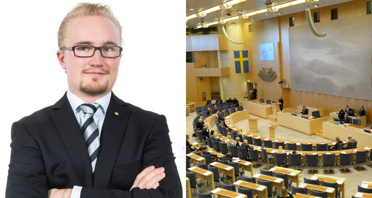 SDU, Debatt, Sverigedemokratisk ungdom