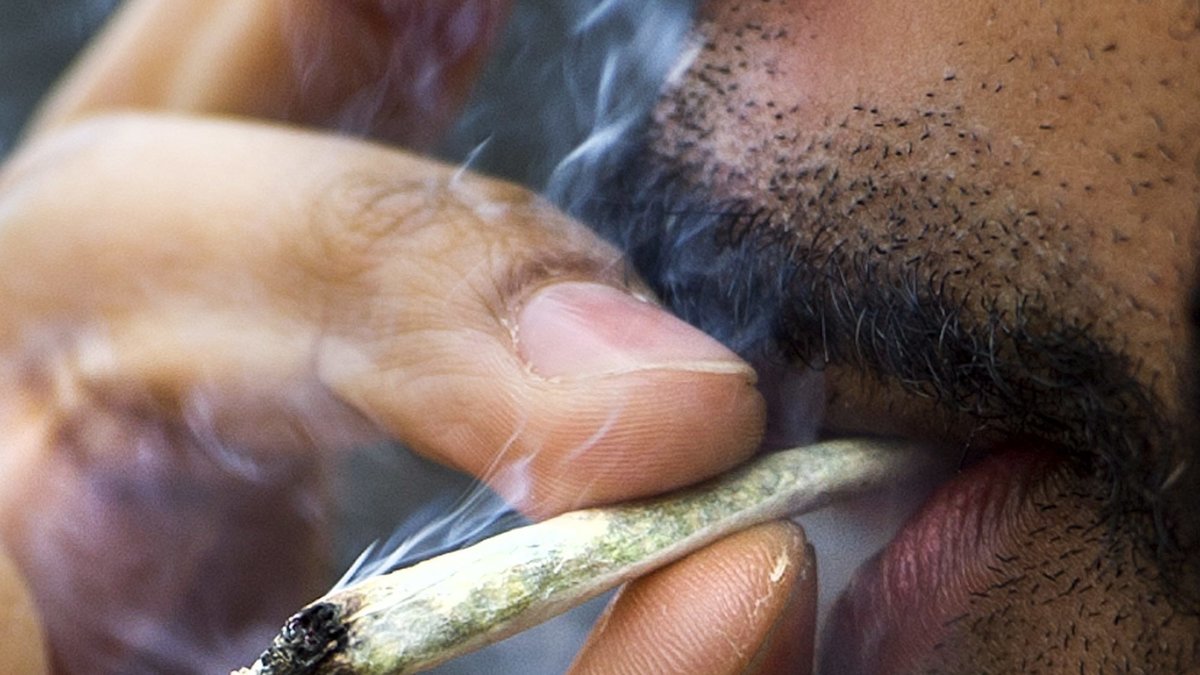 Legaliseringen handlar om cannabis i små mängder för eget bruk.