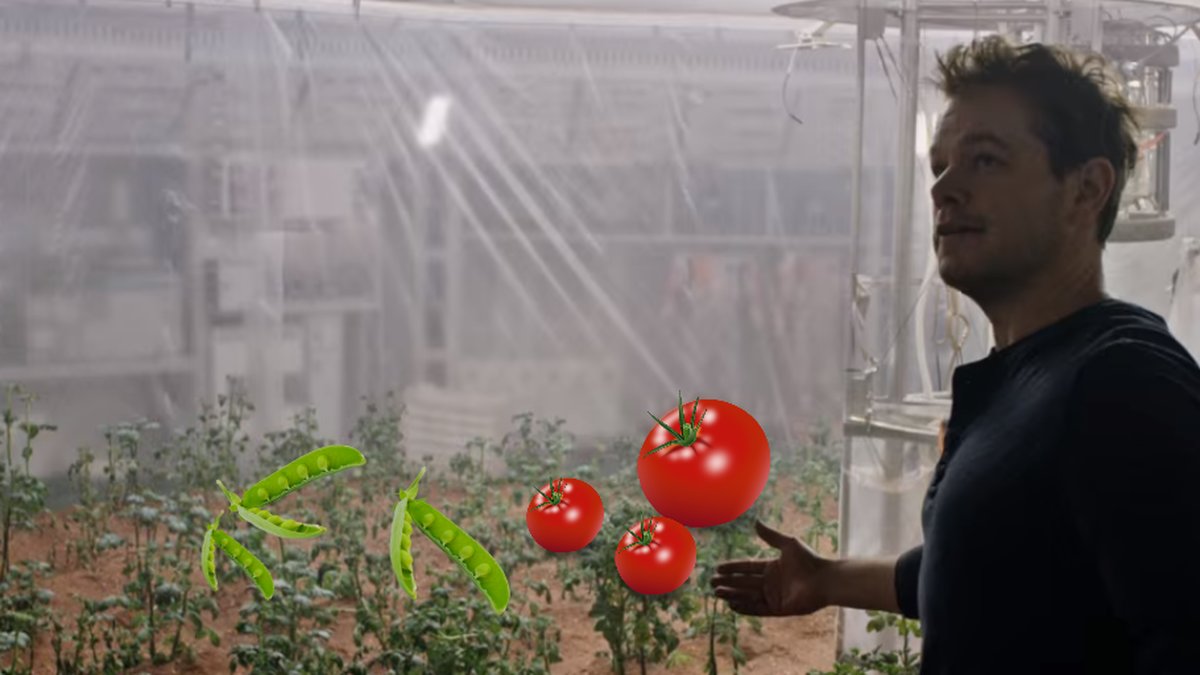 Forskare har lyckats odla bland annat tomater och ärtor i samma jord som på Mars.