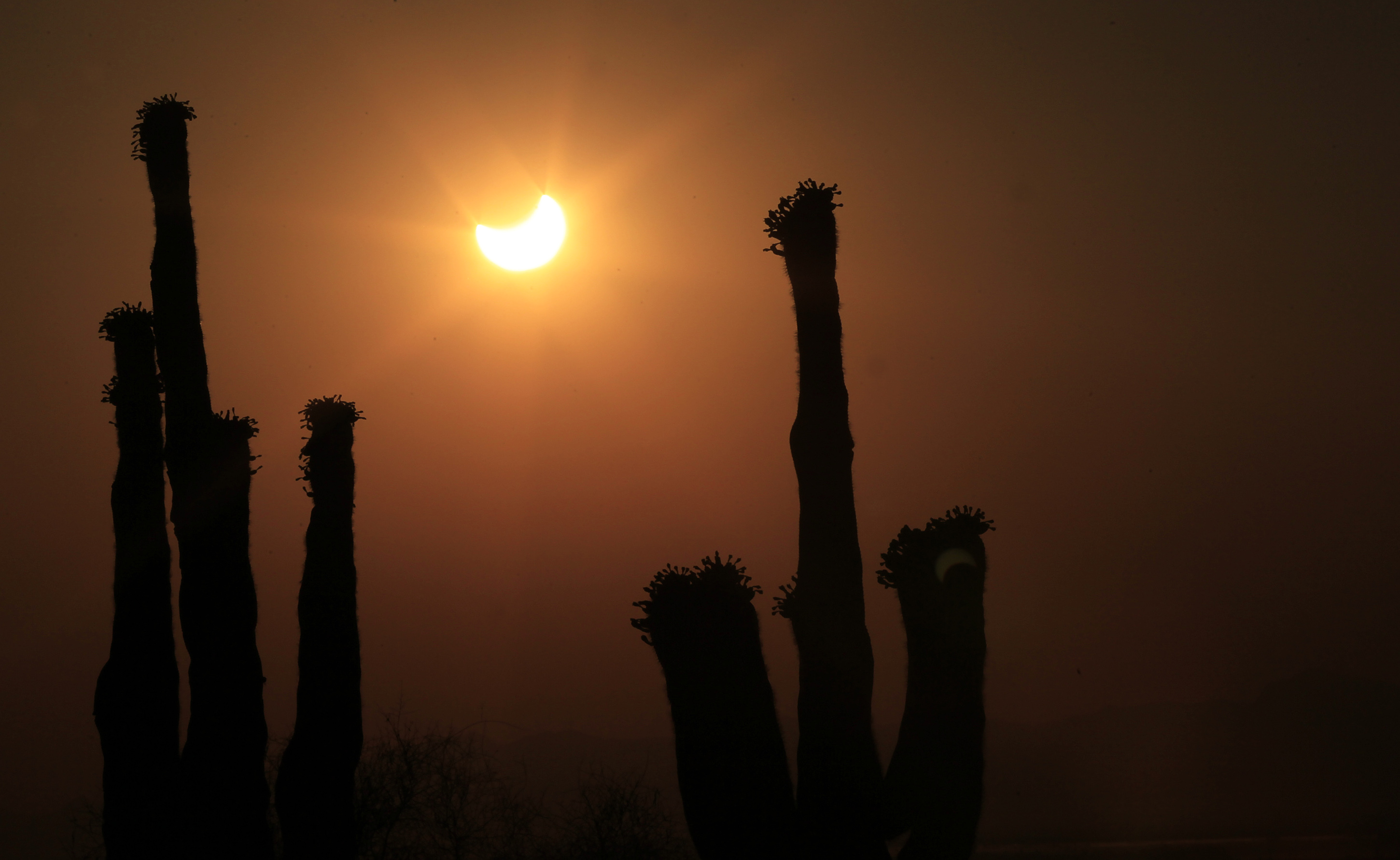 Förmörkelsen sedd mellan två kaktusar i Phoenix.