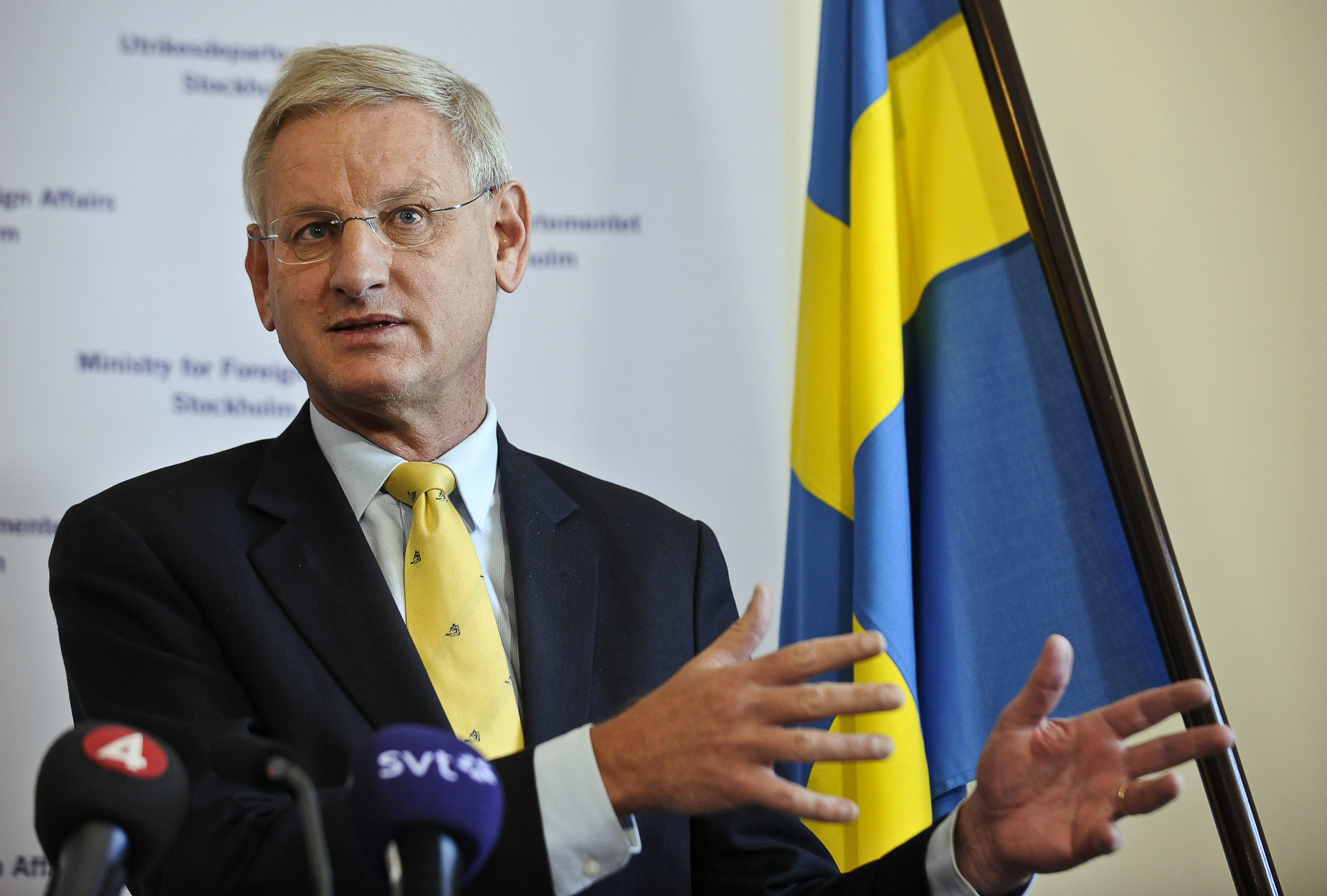 Holm menar att Carl Bildt och hela regeringen är undfallande och att den amerikanska säkerhetspolisen får göra vad de vill.