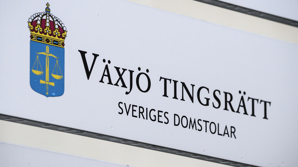 En anonym kvinna dömdes av Växjö tingsrätt efter en protestaktion i fredags. Arkivbild.