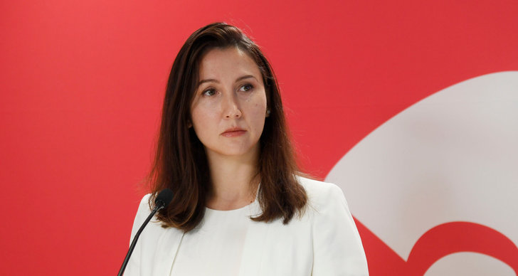 Aida Hadzialic, Politik, Stockholm, TT