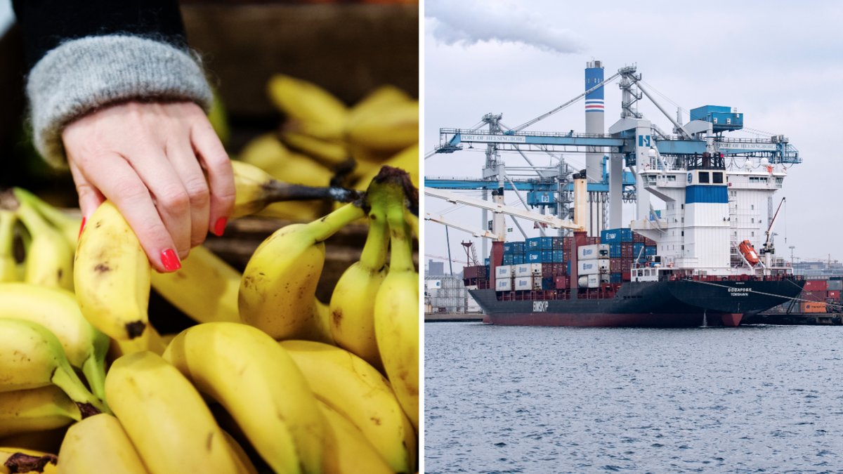 Genrebild på bananer och Helsingborgs hamn.