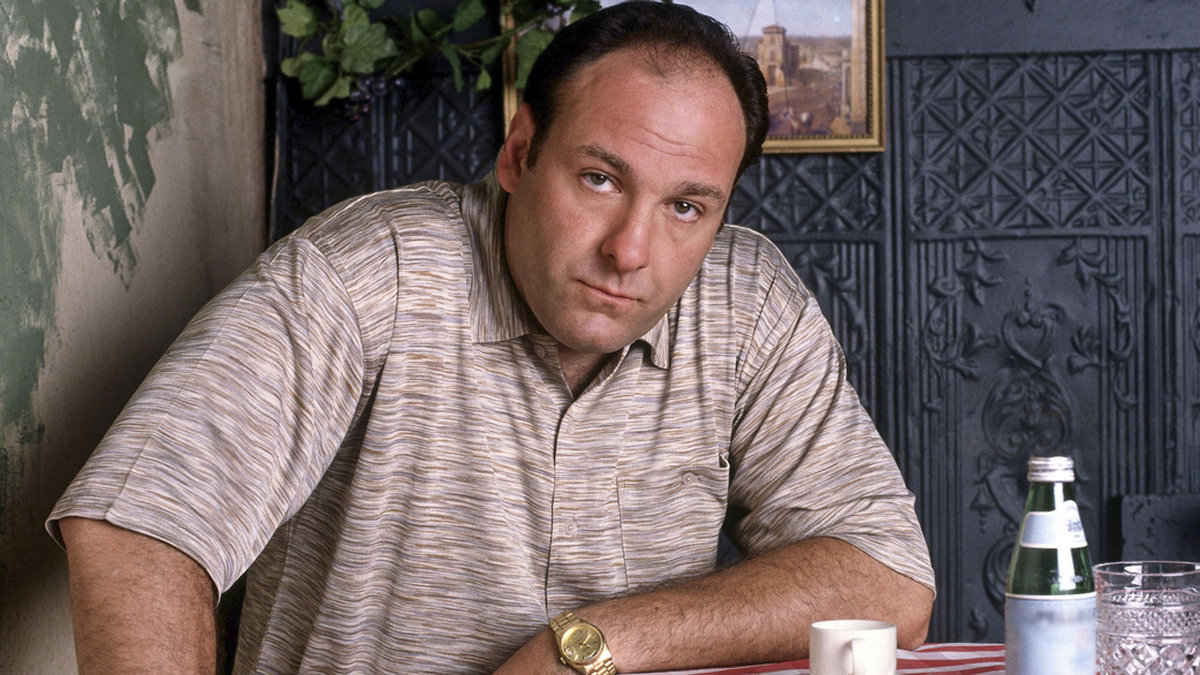 I serien Sopranos ser vi en annan sida av maffialivet i New Jersey. Det handlar inte enbart om våld, pengar och strippor på nattklubben Bada Bing. Tittarna får även se Tony Sopranos andra sidor. I serien drabbas han ofta av panikångest och spenderar otaliga timmar hos sin terapeut. 