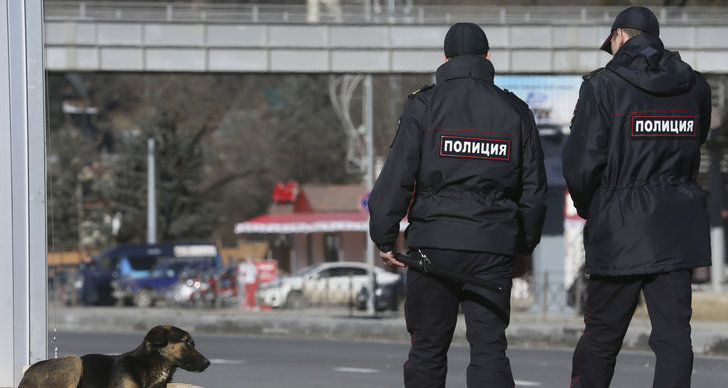 Hund, sotji, Vinter-OS, Ryssland