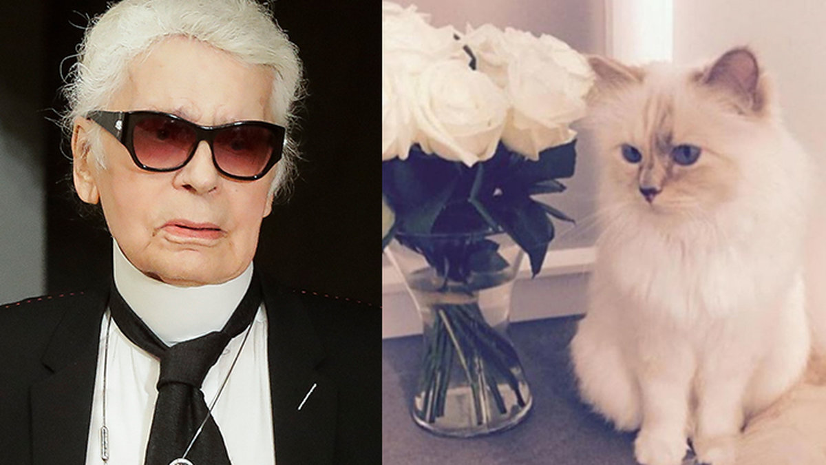 Karl Lagerfeld och katten Choupette