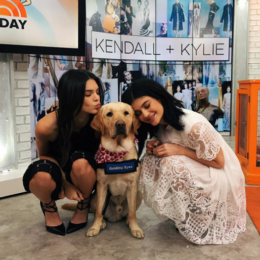 Kendall och Kylie gosar med en hund. Kendall och Kylie gosar med en hund.