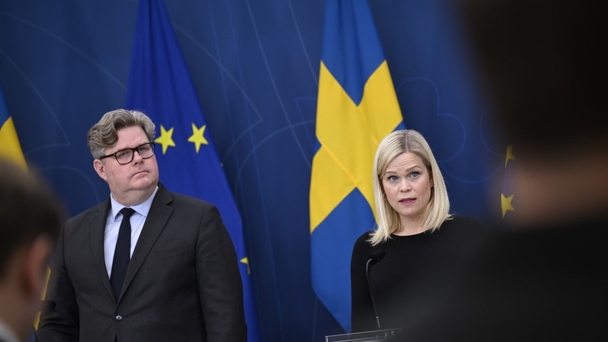Justitieminister Gunnar Strömmer (M) och jämställdhetsminister Paulina Brandberg (L) planerar ett möte med ansvariga myndigheter och andra aktörer om mäns våld mot kvinnor. Arkivbild.