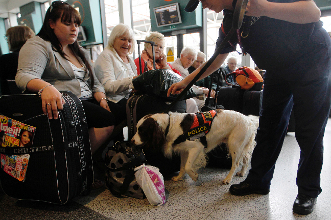 På flygplatserna finns hundratals bomb- och narkotikahundar.