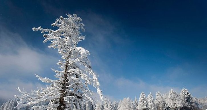 Snö, Sverige, Vinter, Vit jul