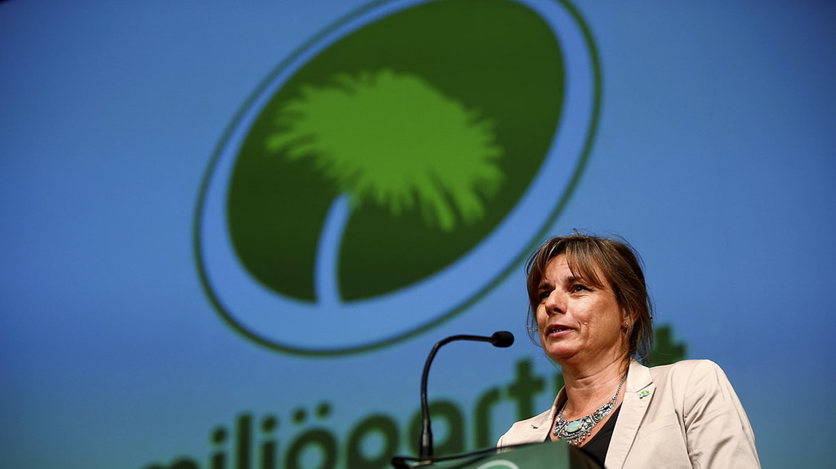 Isabella Lövin är Miljöpartiets nya språkrör.