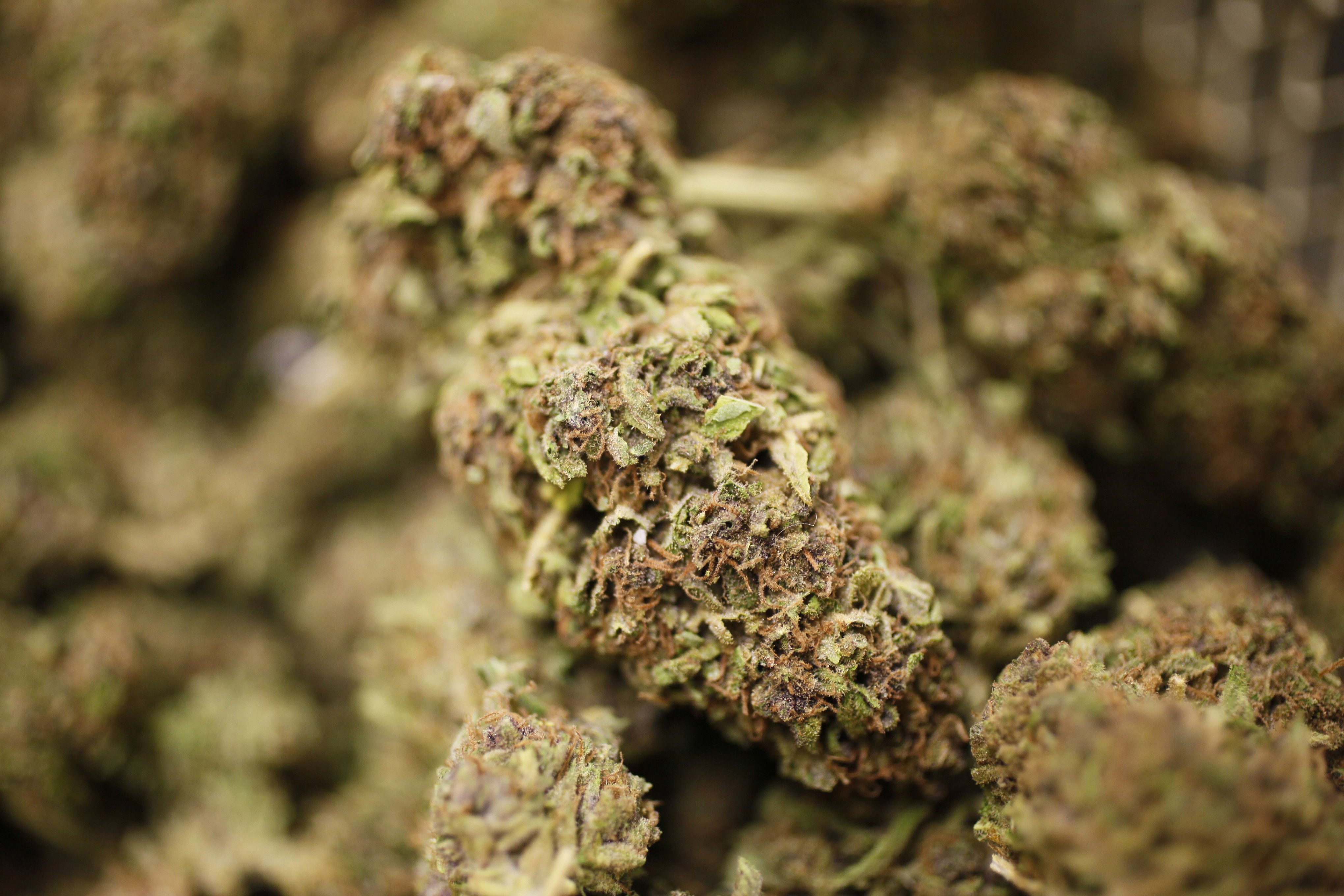En påse med marijuana hittades nämligen i narkotikapolisens bil.