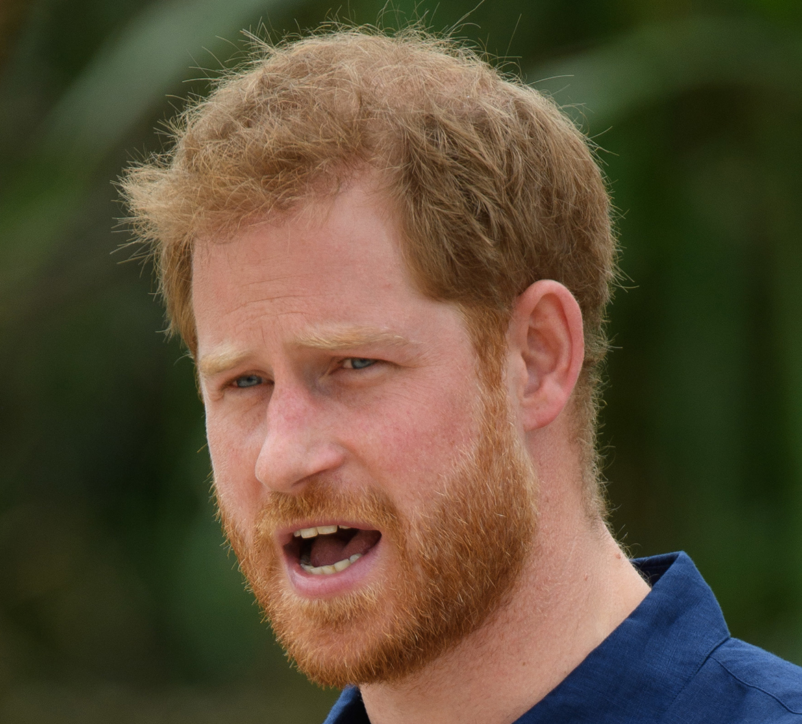Prins Harry Prins Harry