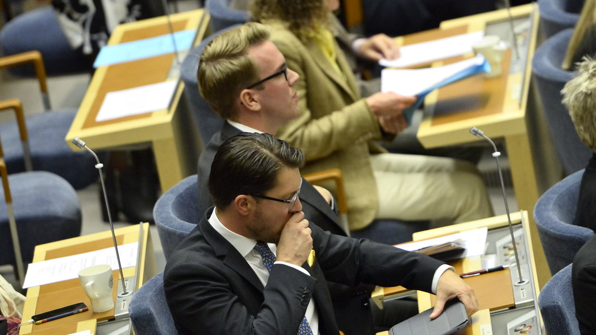 Alla riksdagsledamöter ska ha informerats om hotet, även Sverigedemokraternas partiledare Jimmie Åkesson.