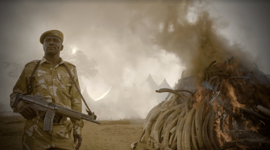 The Ivory Games kommer ut på Netflix 4 november. The Ivory Games kommer ut på Netflix 4 november.