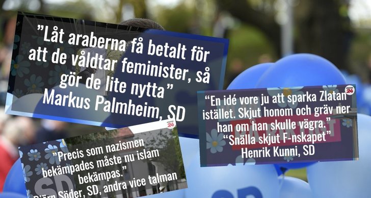 Citat, Sverigedemokraterna, Kommentarer