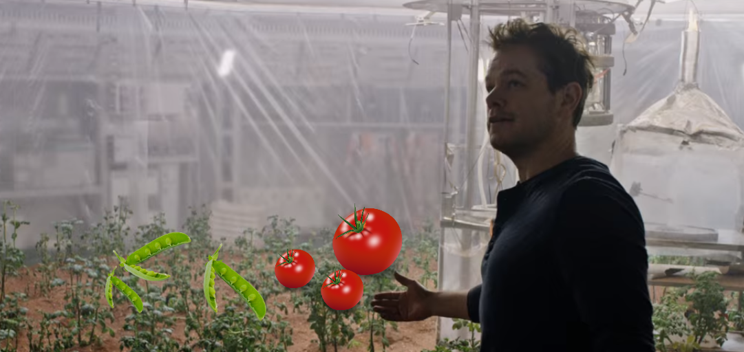 Forskare har lyckats odla bland annat tomater och ärtor i samma jord som på Mars.