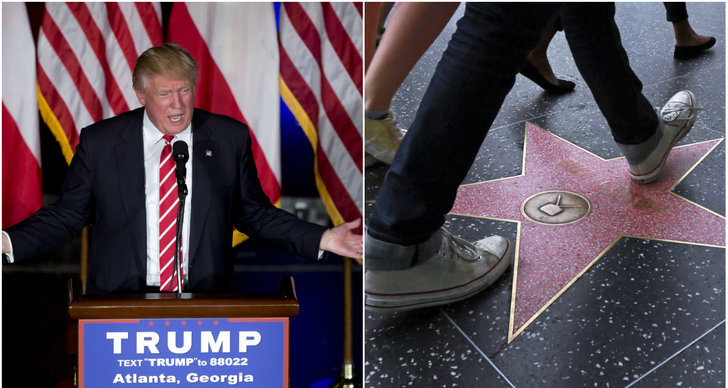 Hollywood, Vandalism, Donald Trump