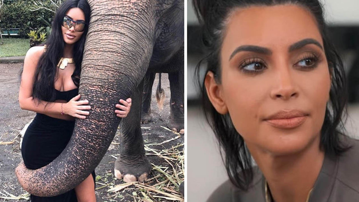 Kim Kardashian kritiseras efter elefantbilden.