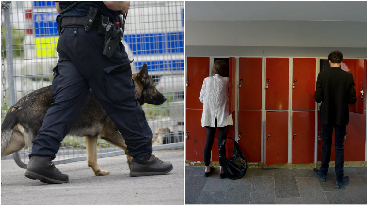 Nu är alla tillstånd klara för att knarkhundar ska söka igenom samtliga gymnasieskolor i Jönköpings kommun. Bilderna är från andra tillfällen.