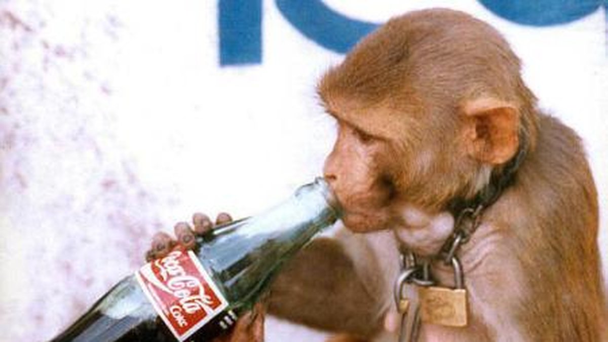 Coca Cola är ett tips för att bota baksmälla!