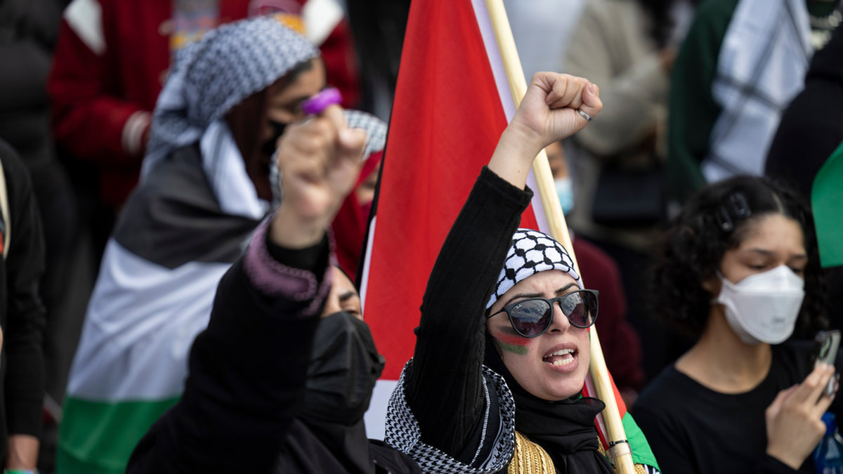 Tusentals propalestinska demonstranter samlades utanför Vita huset i Washington DC under lördagen för stöd till människor Gaza.