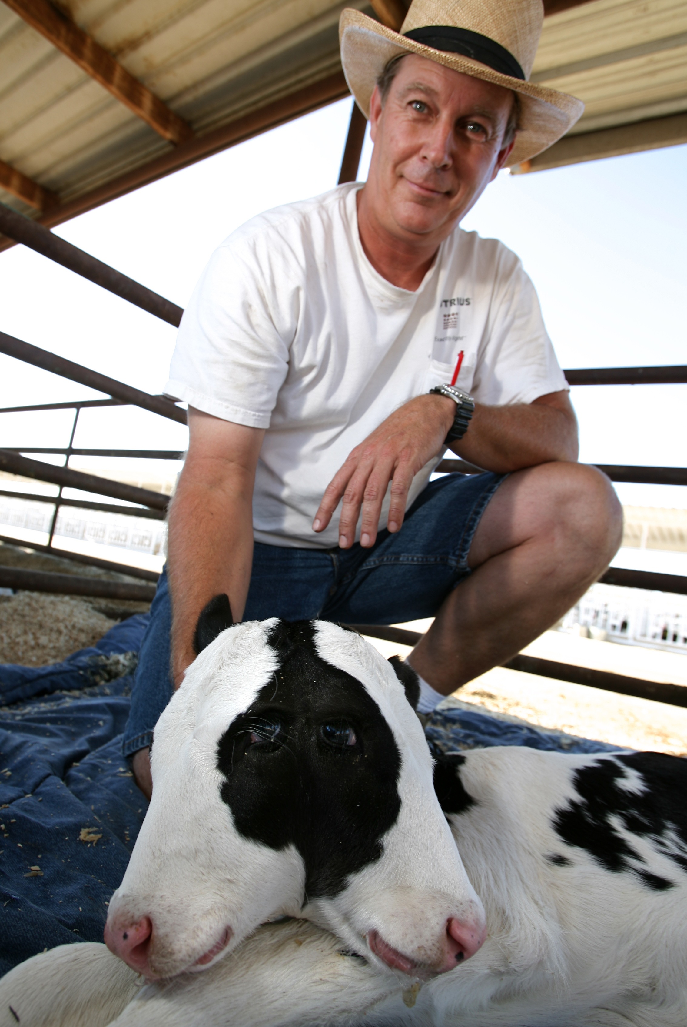 2007 föddes kalven Blinkie med två huvuden, fyra ögon och tre öron. Här med husse Greg Hamstra. 