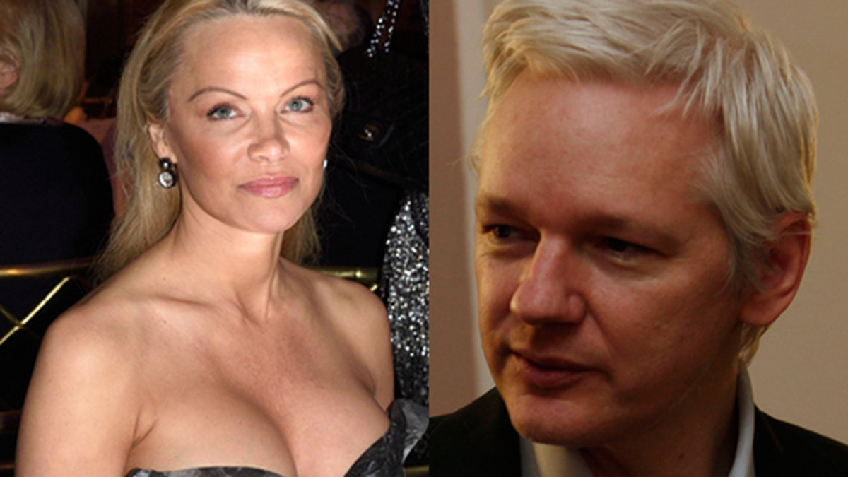Pamela Anderson och Julian Assange ryktas nu vara ett par.