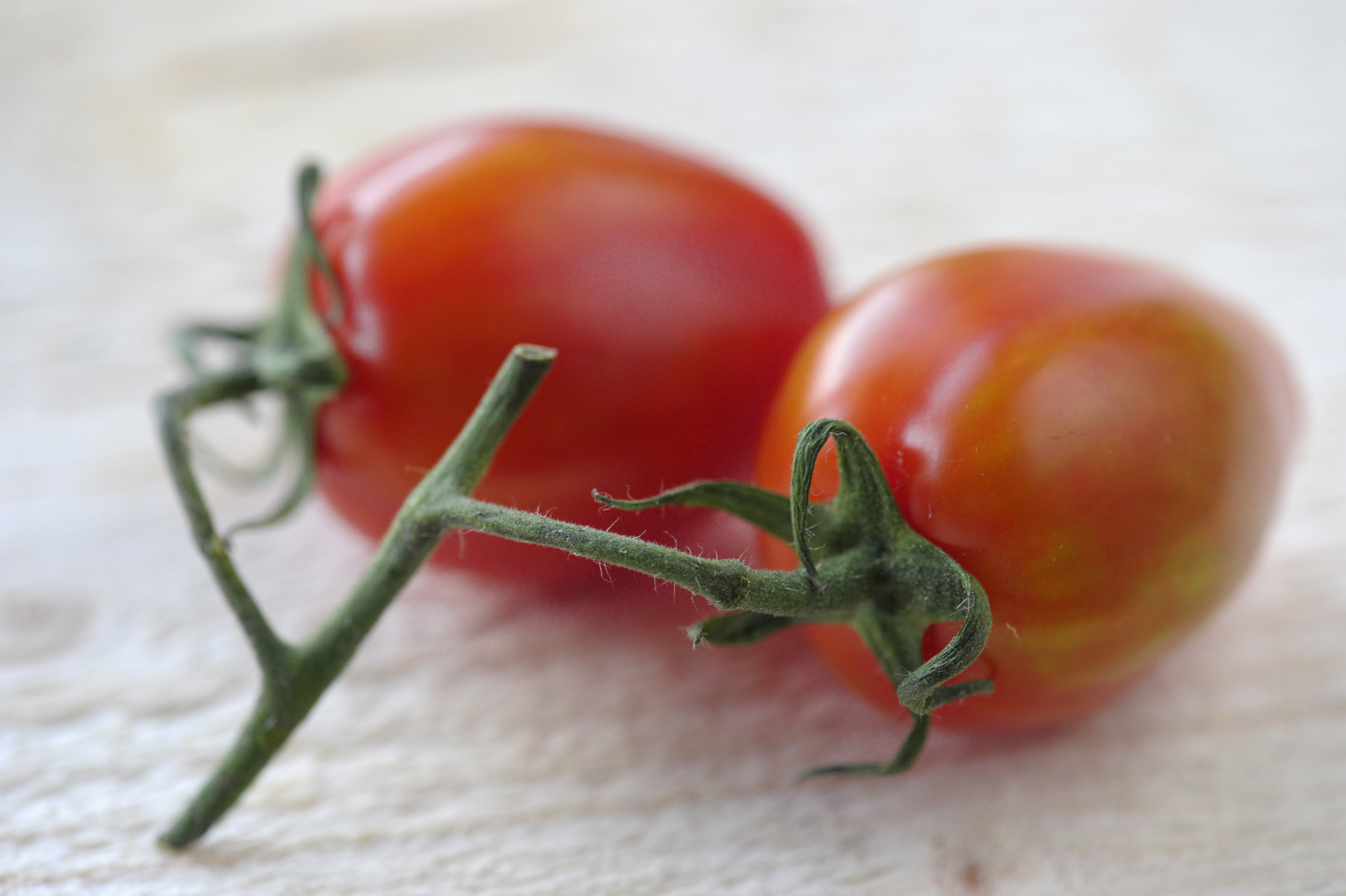 Gener från tomater kan vara framtidens botemedel mot cancer.