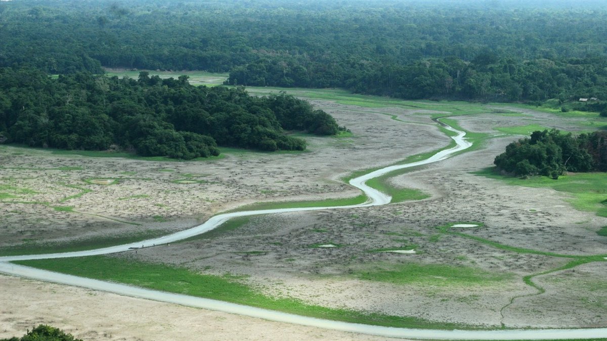 Svår torka har drabbat regnskogen i Amazonas vid några tillfällen de senaste decennierna. Ett av de värsta åren var 2005 då vissa vattendrag torkade ut. Bilden är från delstaten Amazonas.