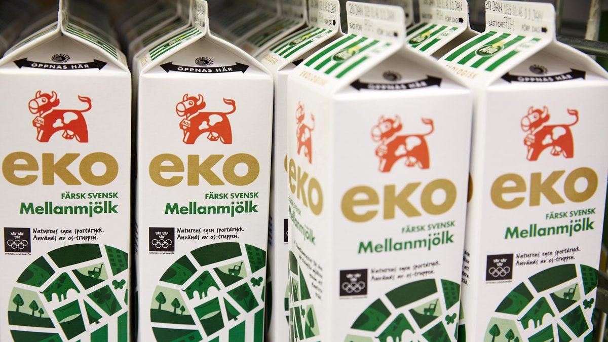 
Ekologisk mjölk.
Foto: Fredrik Persson / TT / kod 75906