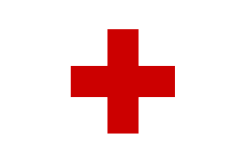 Den 60-årige doktorn har varit verksam i Röda Korset i Somalia, Afghanistan och Irak.