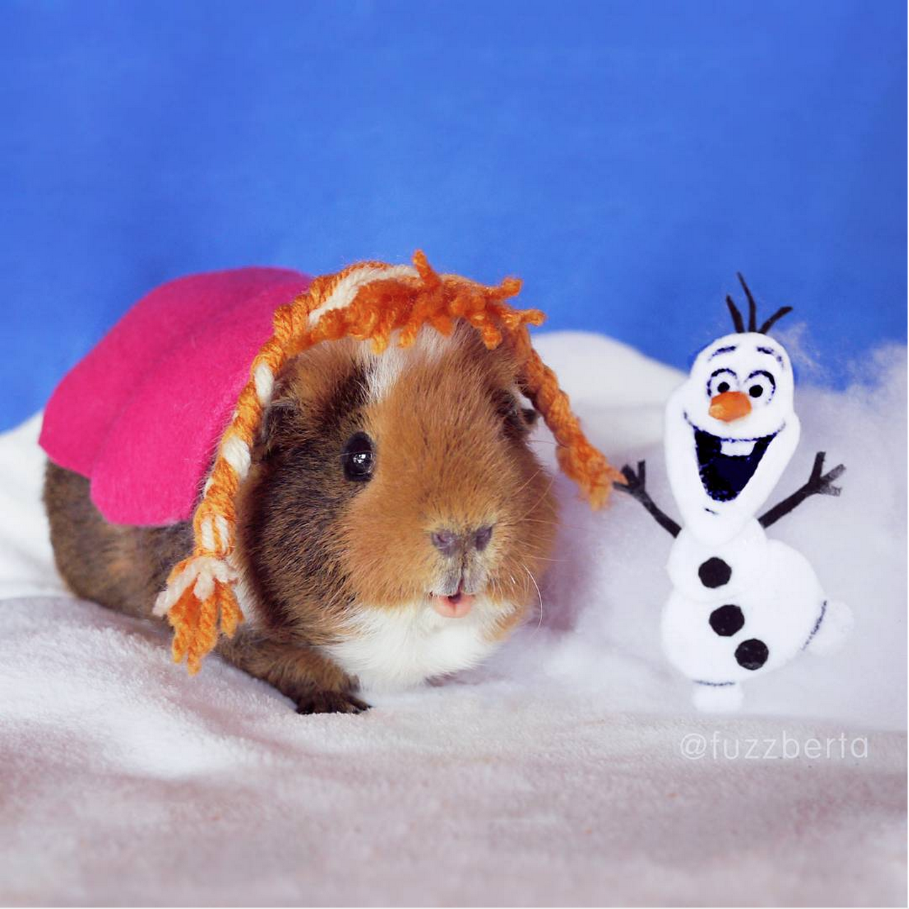 Fuzzberta utklädd som prinsessan Anna ur Disneys Frost. Fuzzberta utklädd som prinsessan Anna ur Disneys Frost.
