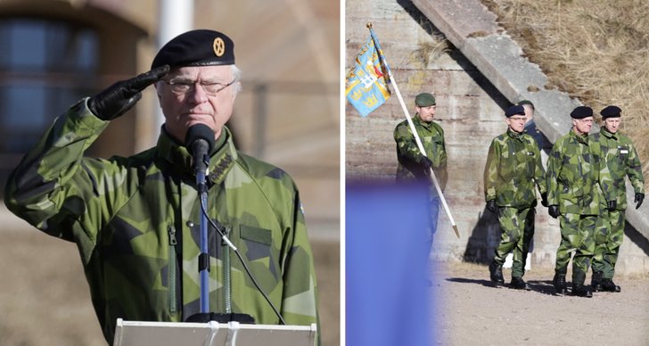 Kung Carl XVI Gustaf, Kriget i Ukraina, TT