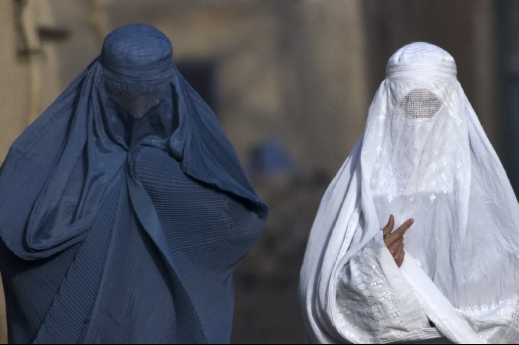 Nicolas Sarkozy, Niqab, Islamofobi, Muslimer, Frankrike, Islam, Burka