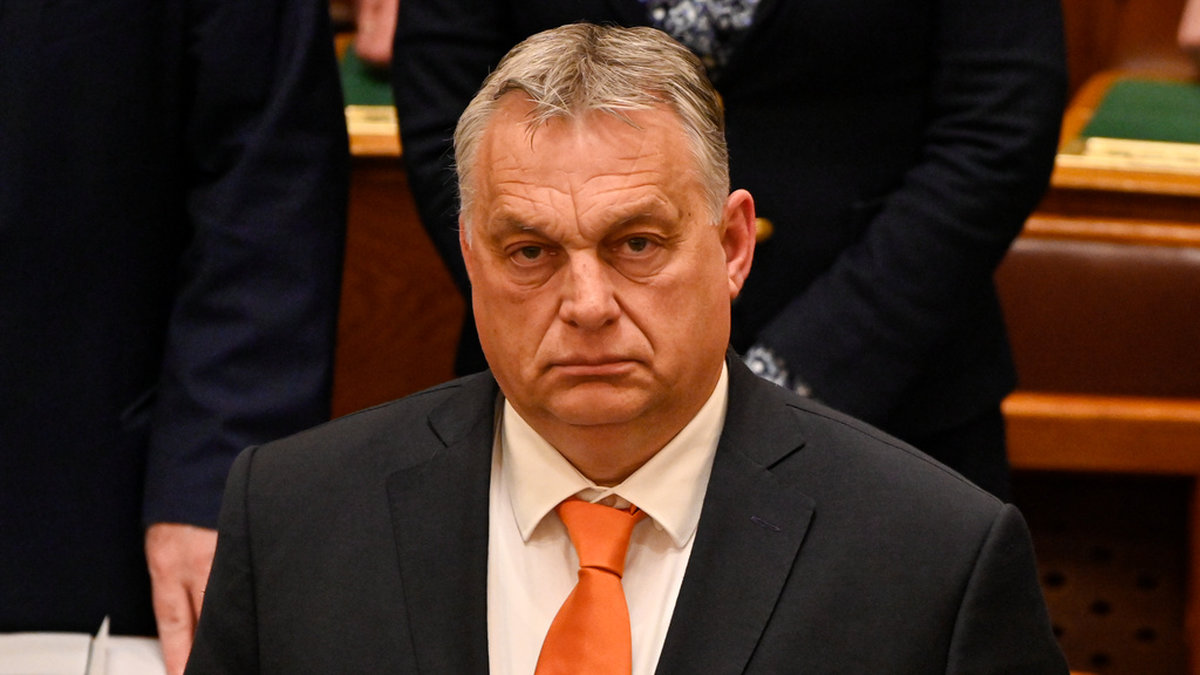 Ungerns premiärminister Viktor Orbán uppmanar sina partikamrater att rösta ja till Sverige. Samtidigt kommer regeringen med kritik.