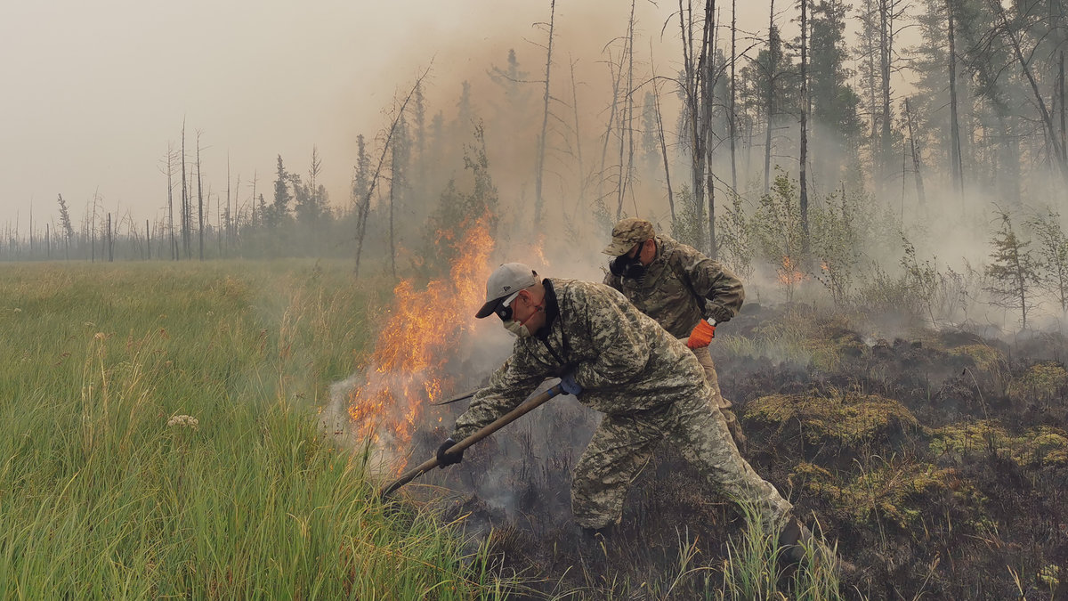 Volontärer kämpar med att få bukt på de gigantiska skogsbränderna i Ryssland.