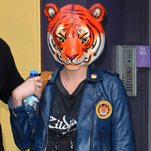 Ibland är hon nästan omöjlig att känna igen – som här, då hon spatserade ut i New York klädd i en tigermask. Ibland är hon nästan omöjlig att känna igen – som här, då hon spatserade ut i New York klädd i en tigermask.