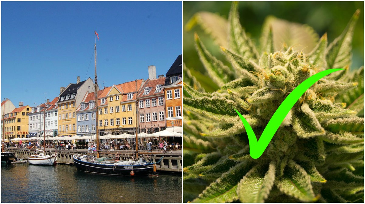 Danmark, Cannabis