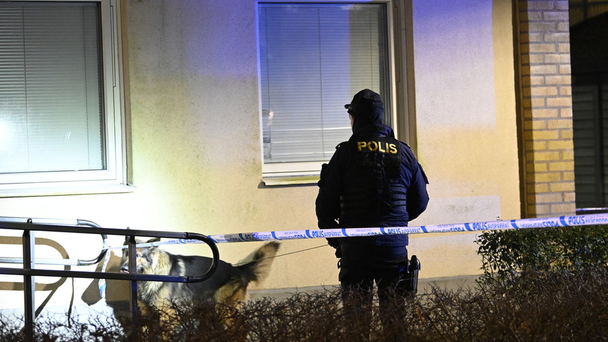 En man sköts till döds i Malmö.