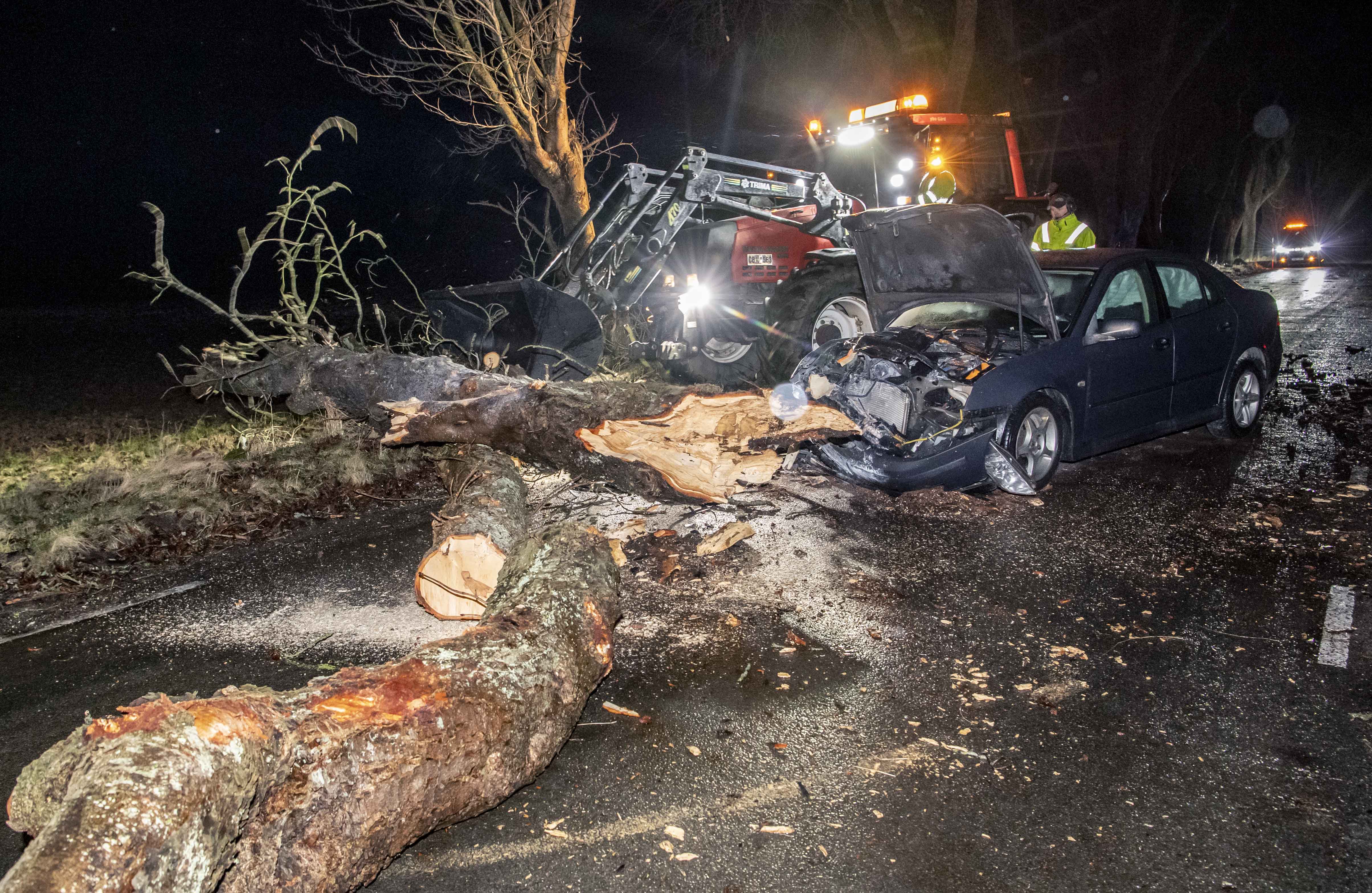 Nedfallet träd Skåne på grund av stormen Ciara Nedfallet träd Skåne på grund av stormen Ciara