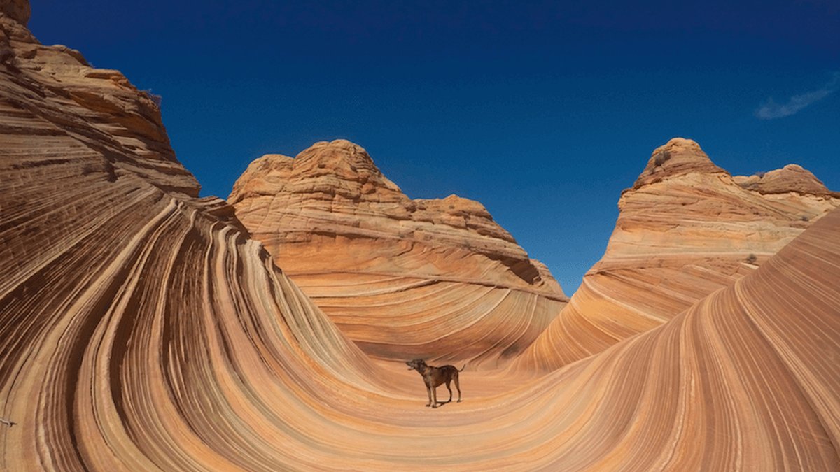 I Arizona, nära gränsen till Utah, finns en klippa som är formad som en våg. Därför kallas detta "The Wave".