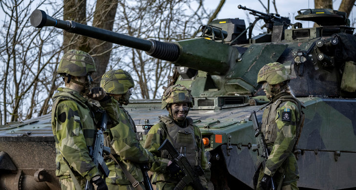 Sverige, Försvarsmakten, TT, Politik